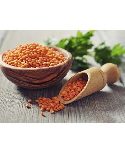Masoor Dal 2LB (32oz)
